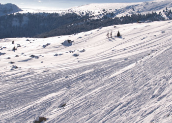 Горнолыжный курорт в Витоша, Болгария. Фото 9 – фотографии Болгарии