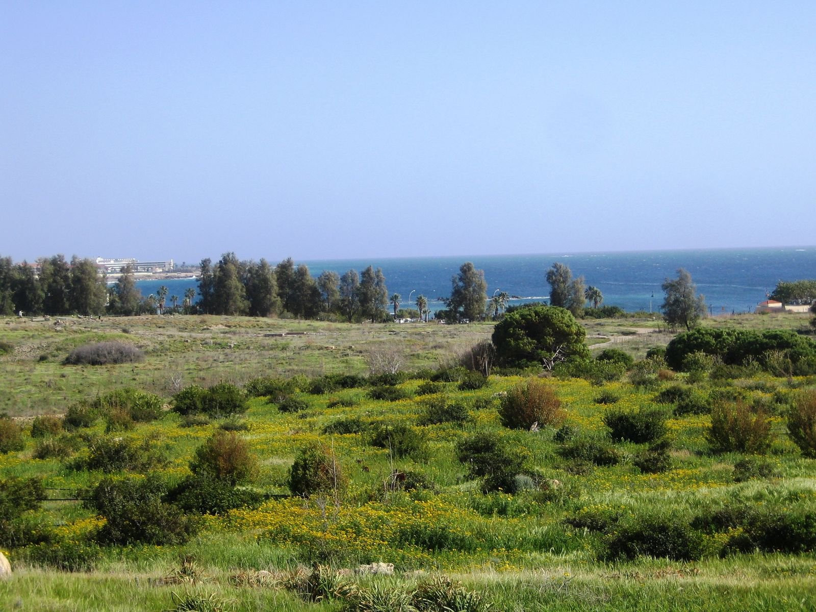 Пафос, Кипр, фото № 38591 – фотографии Кипра