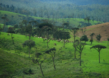 Нувара Элия, Шри-Ланка, фото № 52060 – фотографии Шри-Ланки