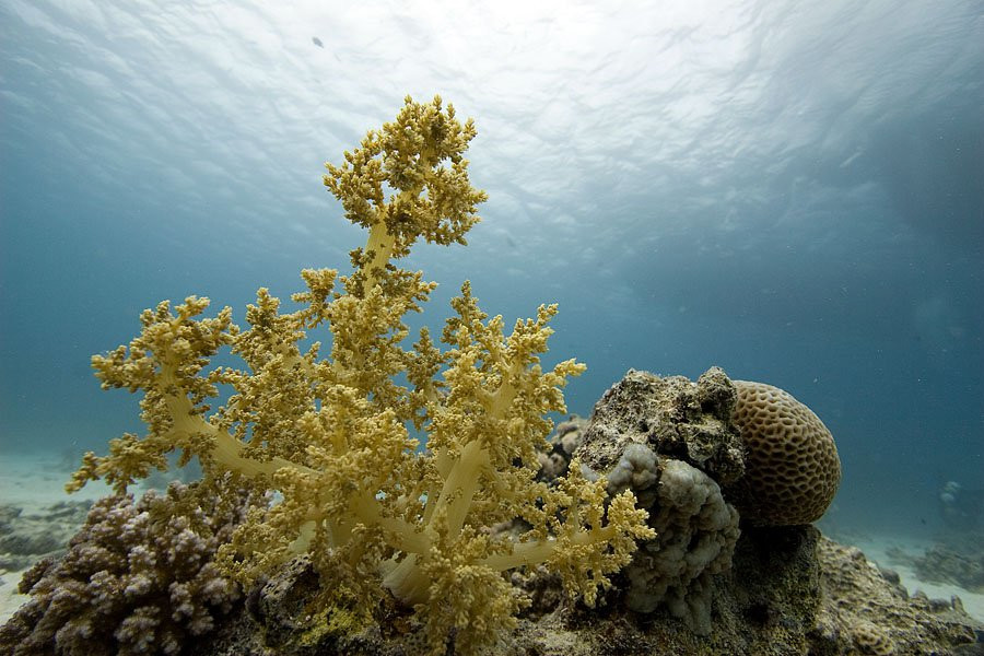 Хургада, Египет, фото № 35500 – фотографии Египта