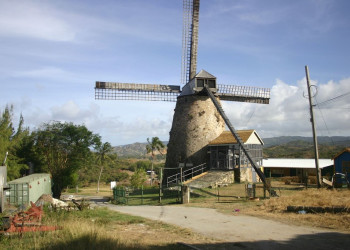 Animal Flower Cave, Barbados – фотографии Барбадоса