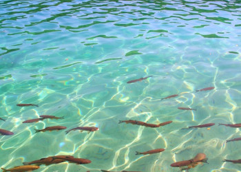 Плитвицкое озеро, Хорватия. Фото 3 – фотографии Хорватии