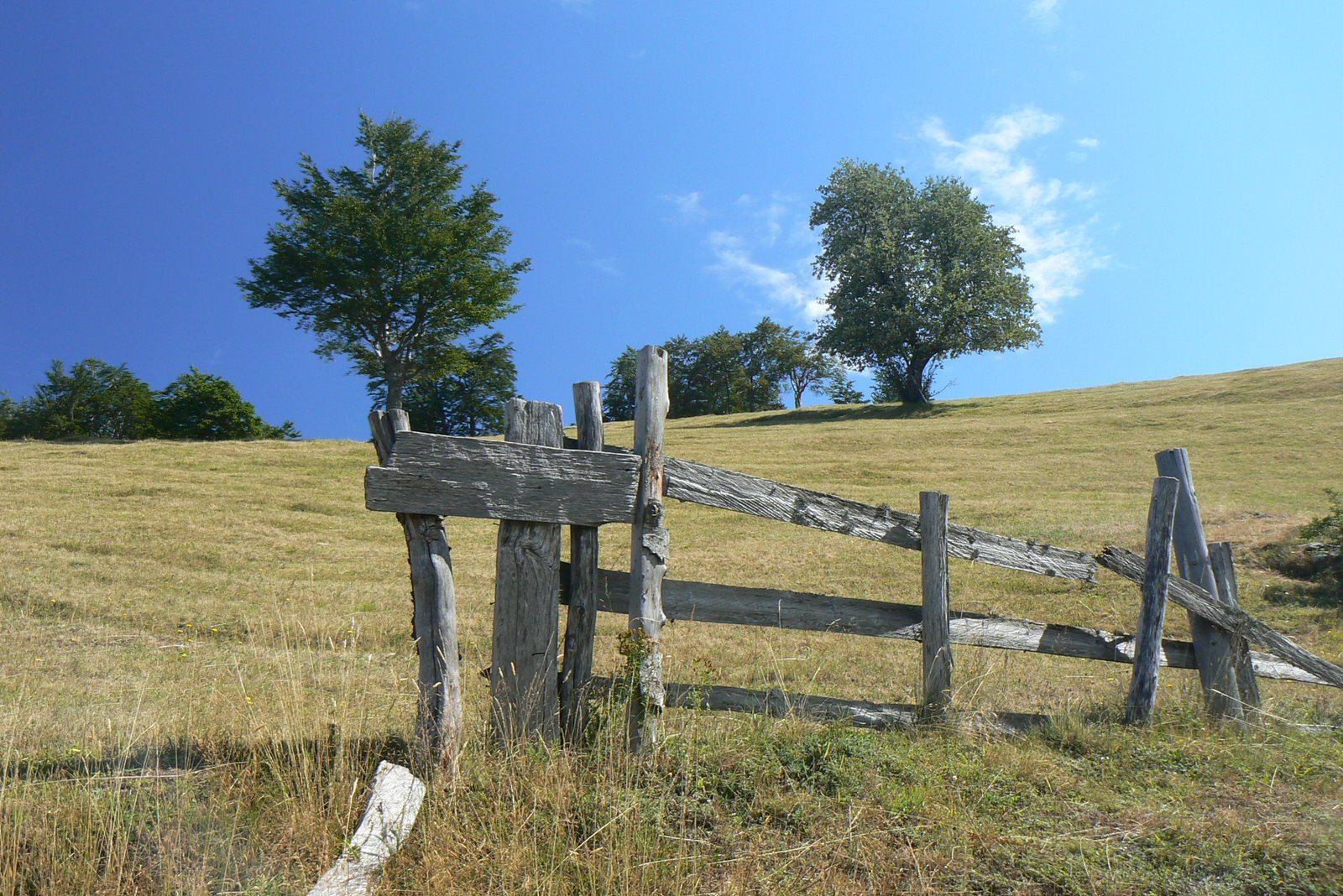Поле в Национальном парке, Черногория. Фото 6 – фотографии Черногории
