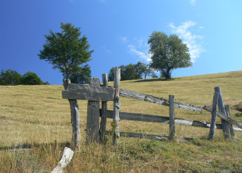 Поле в Национальном парке, Черногория. Фото 6 – фотографии Черногории
