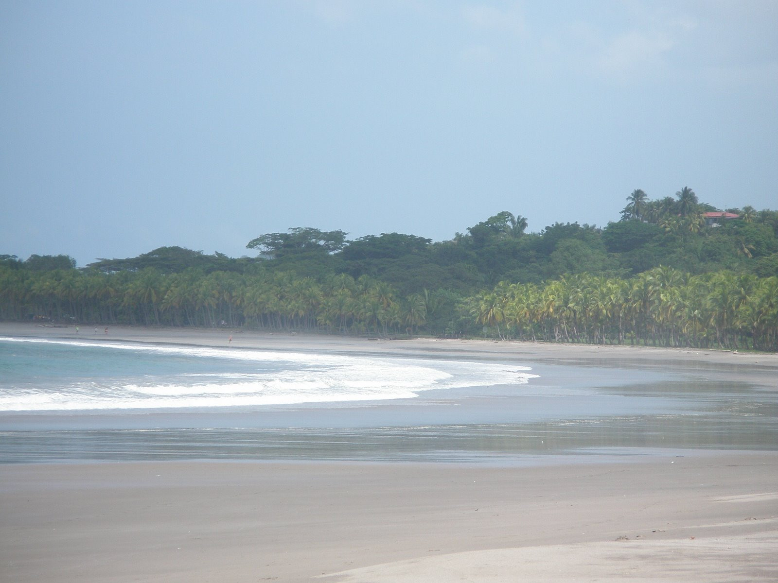 Плайя Карильо, Гуанакасте провинция, Коста-Рика, фото № 39537 – фотографии Коста-Рики