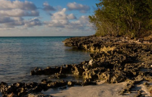 Берег в Кайо-Энсеначос, Куба – фотографии Кубы