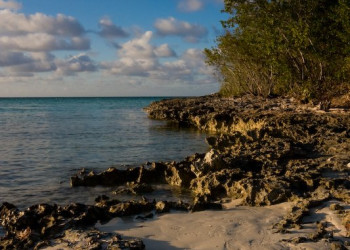 Берег в Кайо-Энсеначос, Куба – фотографии Кубы