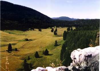 Природа в Виллар-де-Лан, Франция. Фото 1 – фотографии Франции