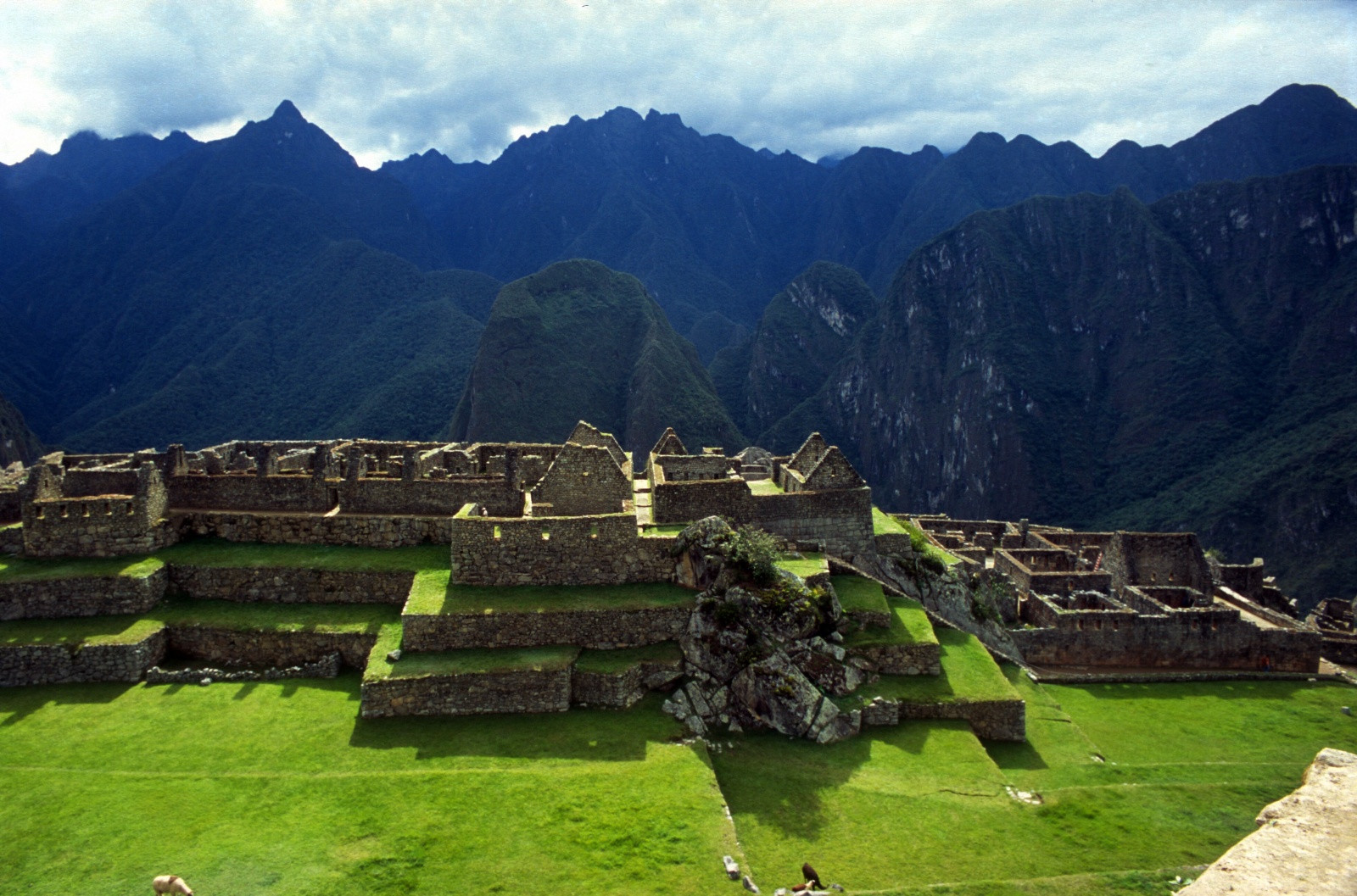 Перу большие Перу большие