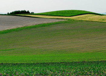 Хоккайдо остров, Хоккайдо регион, Япония, фото № 72737 – фотографии Японии