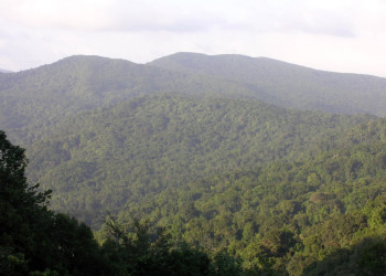 Гваделупа, фото № 3637 – фотографии Гваделупы