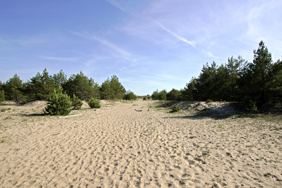 Сааремаа (Saaremaa) – фотографии Эстонии