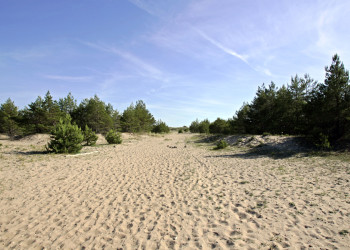 Сааремаа (Saaremaa) – фотографии Эстонии