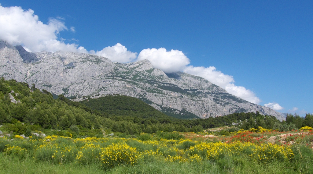 Природа в Биоково, Хорватия. Фото 4 – фотографии Хорватии