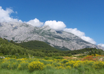 Природа в Биоково, Хорватия. Фото 4 – фотографии Хорватии