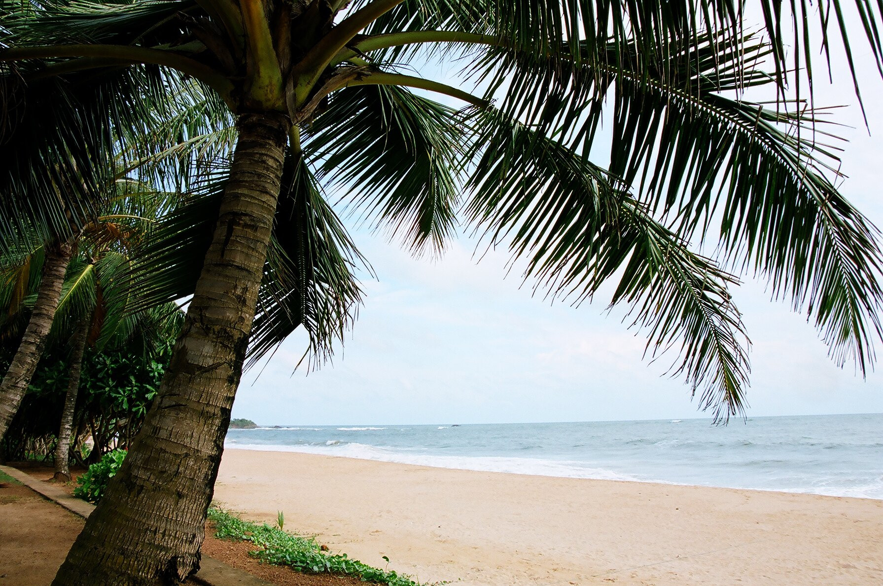 Индурува, Шри-Ланка, фото № 51165 – фотографии Шри-Ланки