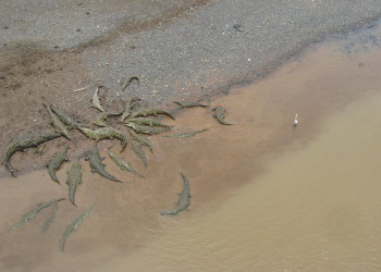 Коста-Рика, фото № 768 – фотографии Коста-Рики