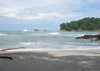 Мануэль Антонио, Пунтаренас провинция, Коста-Рика, фото № 40636 – фотографии Коста-Рики