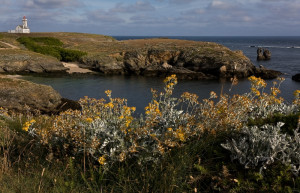 Берега в Бель-Иль, Франция. Фото 1 – фотографии Франции