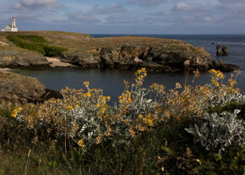 Берега в Бель-Иль, Франция. Фото 1 – фотографии Франции
