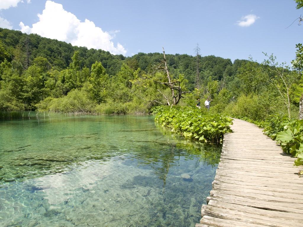 Озеро в Национальном парке, Хорватия. Фото 17 – фотографии Хорватии