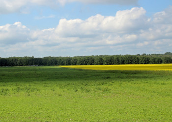 Природа острова Сааремаа – фотографии Эстонии