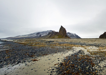 Галля — остров архипелага Земля Франца-Иосифа. Фото 1 – фотографии России
