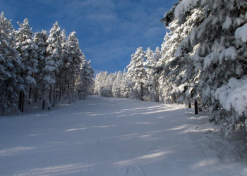 Горнолыжная база "Мраткино". Фото 9 – фотографии России