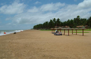 Маравила, Шри-Ланка, фото № 51716 – фотографии Шри-Ланки