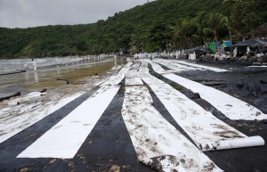 Разлив нефти в заливе Prao Bay. Июль 2013. Фото 13 – фотографии Таиланда