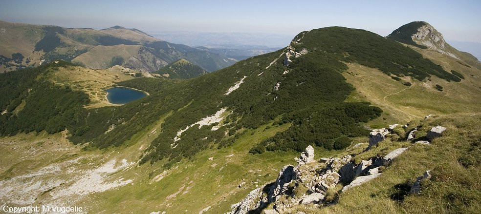 Биоградская гора, Черногория. Фото 18 – фотографии Черногории
