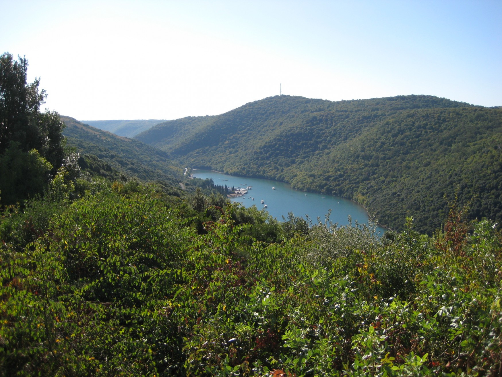 Природа Лимского канала, Хорватия. Фото 10 – фотографии Хорватии