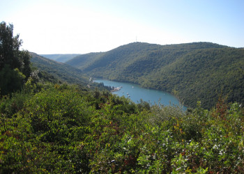 Природа Лимского канала, Хорватия. Фото 10 – фотографии Хорватии