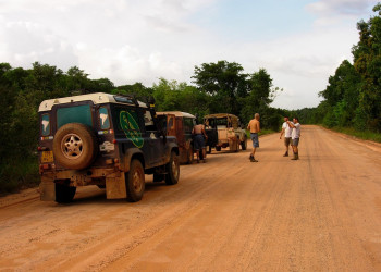 Суринам, фото № 4665 – фотографии Суринама