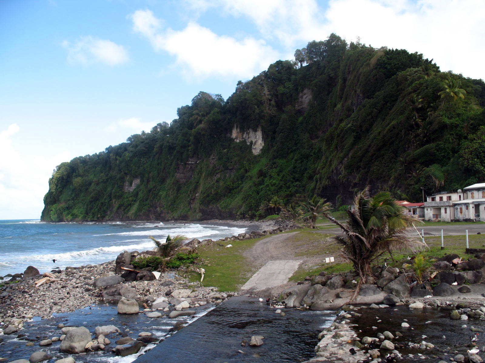 Побережье Гран'Ривьер (Grand'Riviere) – фотографии Мартиники