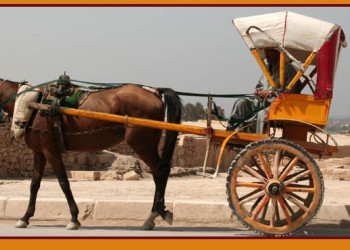 Египет, фото № 516 – фотографии Египта