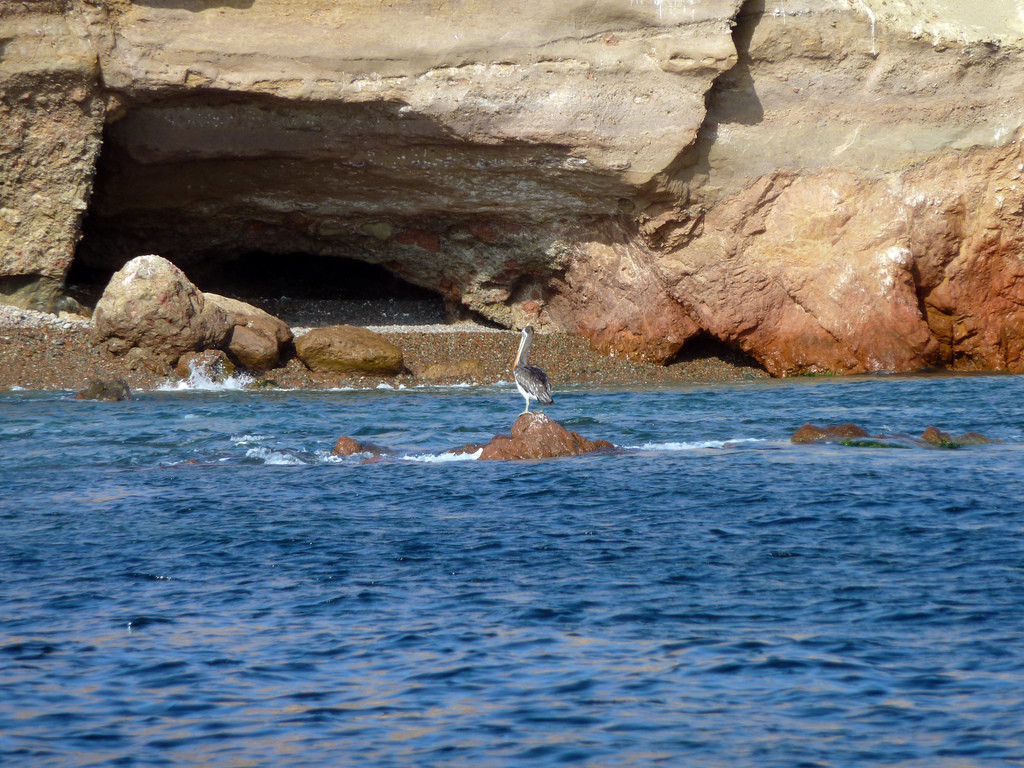 Заповедник Паракас – фотографии Перу