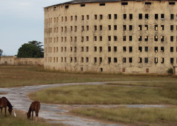 Животные в Хувентуде, Куба – фотографии Кубы