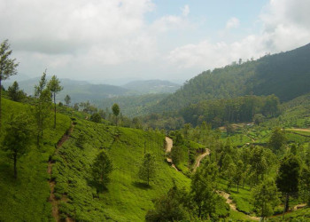 Нувара Элия, Шри-Ланка, фото № 52069 – фотографии Шри-Ланки