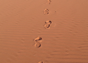 Вади Рам, Иордания, фото № 36428 – фотографии Иордании