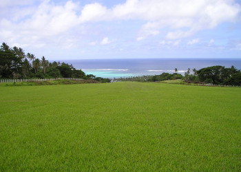 Коро остров, Ломаивити группа островов, Фиджи, фото № 48698 – фотографии Фиджи