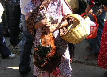 Жители в Оахака, Мексика – фотографии Мексики