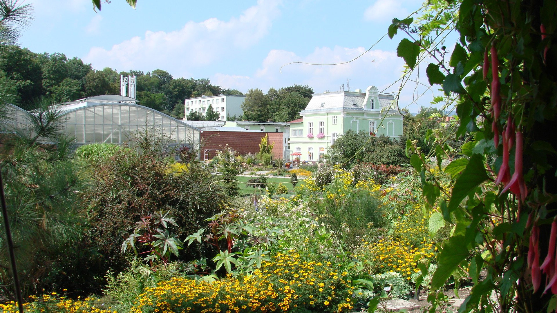 Сквер ботанического сада в Чехии – фотографии Чехии