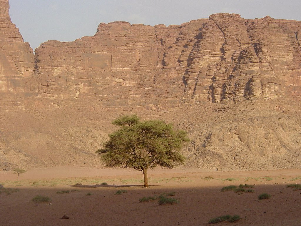 Вади Рам, Иордания, фото № 36440 – фотографии Иордании