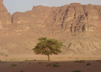 Вади Рам, Иордания, фото № 36440 – фотографии Иордании