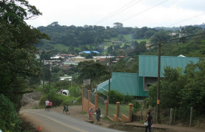 Монтеверде, Пунтаренас провинция, Коста-Рика, фото № 40774 – фотографии Коста-Рики