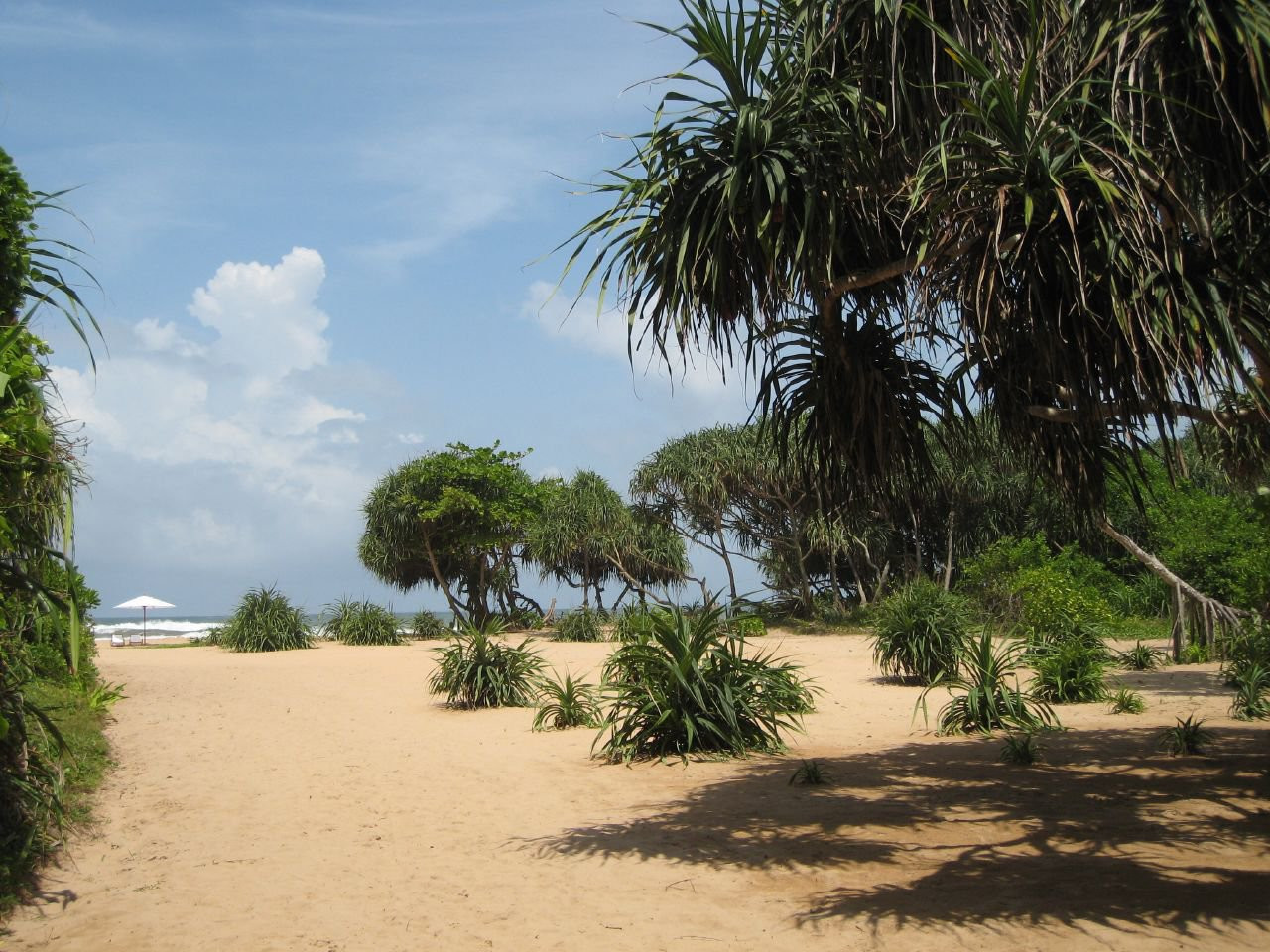 Бентота, Шри-Ланка, фото № 50681 – фотографии Шри-Ланки