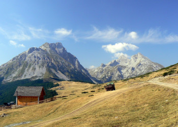 Биоградская гора, Черногория. Фото 14 – фотографии Черногории