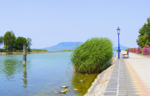 Фоньод, Балатон озеро, Венгрия, фото № 69930 – фотографии Венгрии