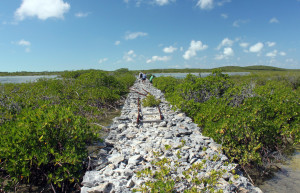 Ист-Кайкос – фотографии Тёркс и Кайкос